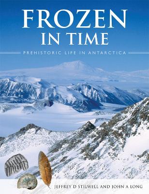 Frozen in Time book