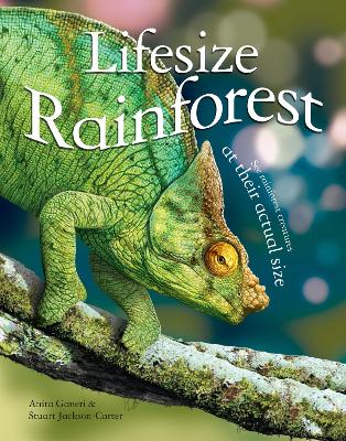Lifesize Rainforest book