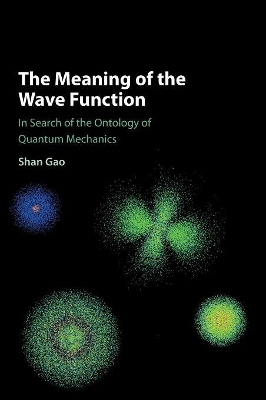 Meaning of the Wave Function book