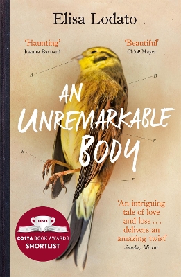 An Unremarkable Body by Elisa Lodato