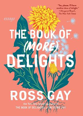 The Book of (More) Delights: Essays book