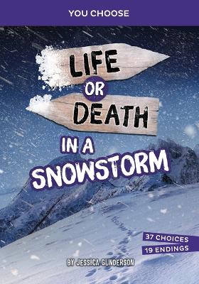 You Choose Lost: Life or Death in a Snowstorm book