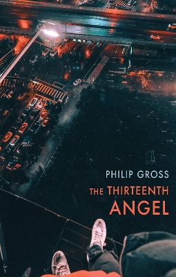 The Thirteenth Angel book