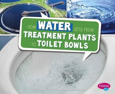 How Water Gets from Treatment Plants to Toilet Bowls book