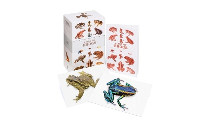 A Box of Frogs: 100 Beautiful Postcards book