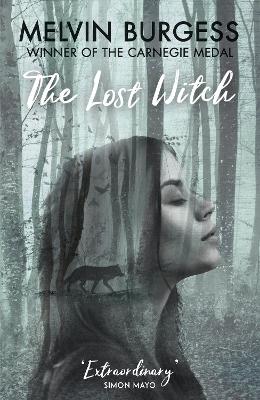 The Lost Witch book