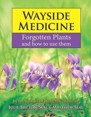 Wayside Medicine: Forgotten Plants to Make Your Own Herbal Remedies by Julie Bruton-Seal