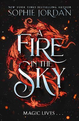 A Fire in the Sky book