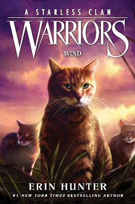 Warriors: A Starless Clan #5: Wind book