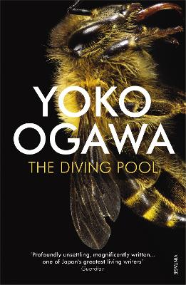 The Diving Pool book