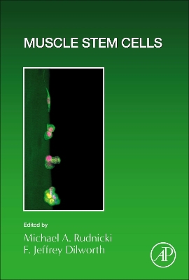 Muscle Stem Cells: Volume 158 book