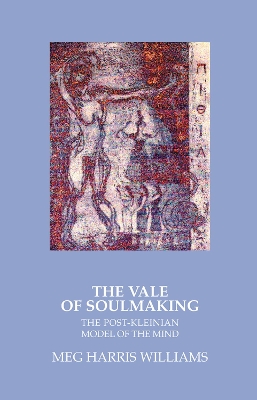The Vale of Soulmaking: The Post-Kleinian Model of the Mind book