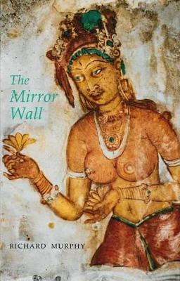 The Mirror Wall book