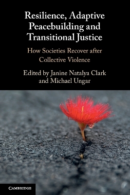 Resilience, Adaptive Peacebuilding and Transitional Justice: How Societies Recover after Collective Violence by Janine Natalya Clark