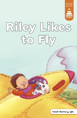 Riley Likes to Fly book