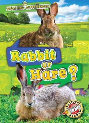 Rabbit or Hare book