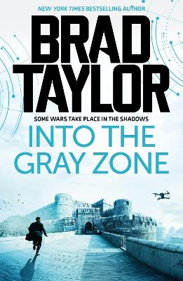 Into the Gray Zone book