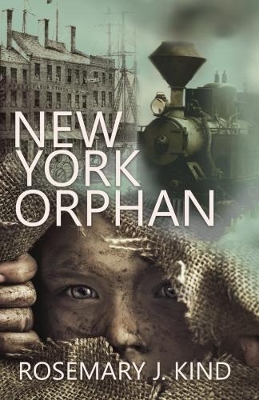 New York Orphan book