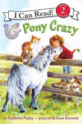 Pony Scouts book