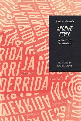 Archive Fever book