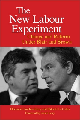 New Labour Experiment book