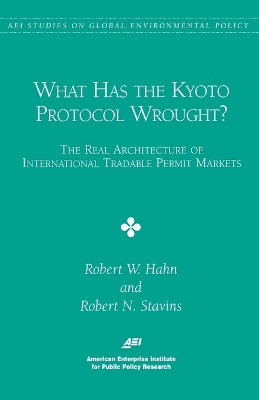 What Has the Kyoto Protocol Wrought? book