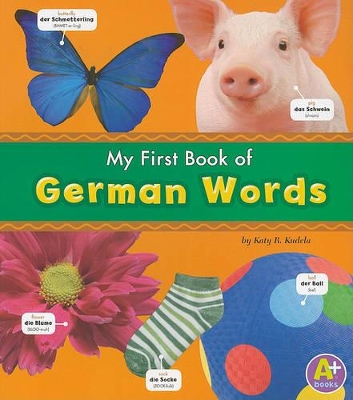 My First Book of German Words book