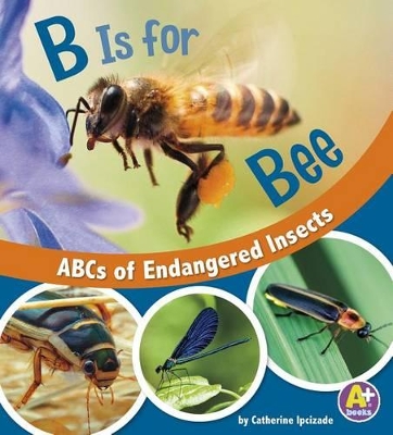 B Is for Bees by Catherine Ipcizade