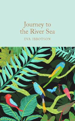 Journey to the River Sea by Eva Ibbotson