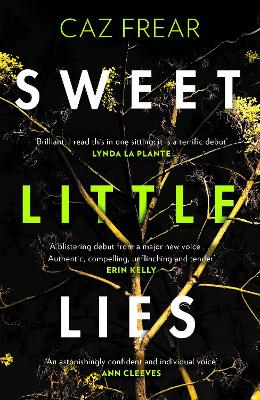 Sweet Little Lies book