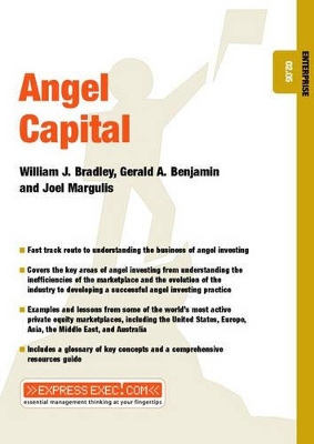 Angel Capital by Gerald A Benjamin