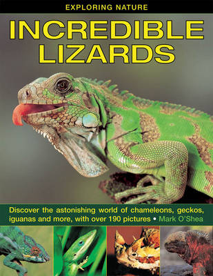 Exploring Nature: Incredible Lizards book