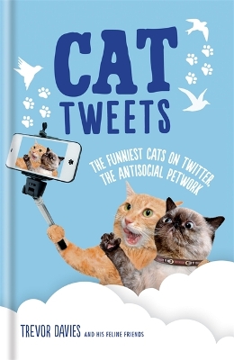 Cat Tweets book