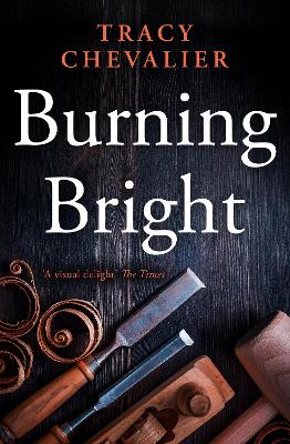 Burning Bright book