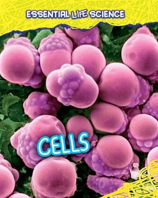 Cells by Richard Spilsbury
