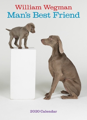 William Wegman Man's Best Friend 2020 Wall Calendar book