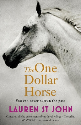 One Dollar Horse book