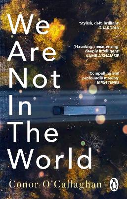 We Are Not in the World: ‘compelling and profoundly moving’ Irish Times by Conor O'Callaghan