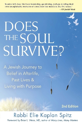 Does the Soul Survive? (2nd Edition) book