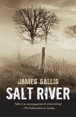 Salt River by James Sallis