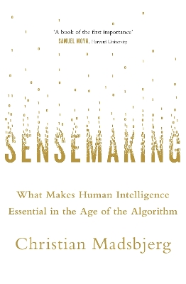 Sensemaking by Christian Madsbjerg