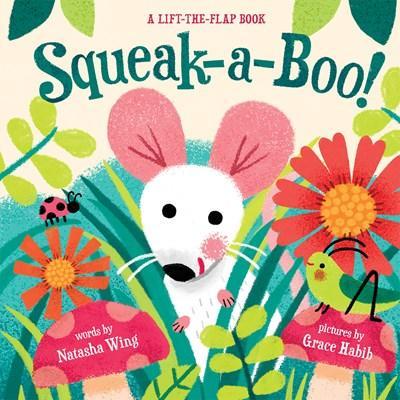 Squeak-a-boo! book