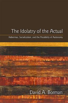 The Idolatry of the Actual by David A. Borman