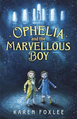 Ophelia and the Marvellous Boy book