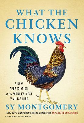 What the Chicken Knows: A New Appreciation of the World's Most Familiar Bird book