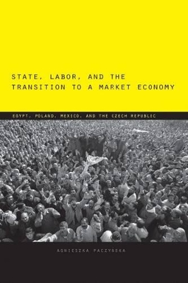 State, Labor, and the Transition to a Market Economy by Agnieszka Paczyńska