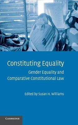 Constituting Equality book