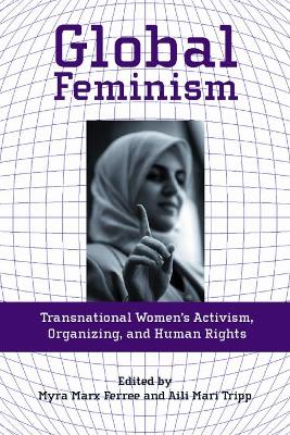 Global Feminism book