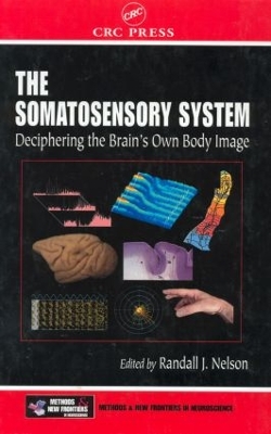 Somatosensory System book