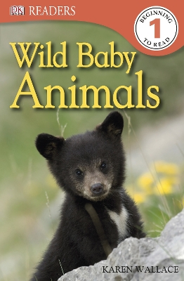 Wild Baby Animals book